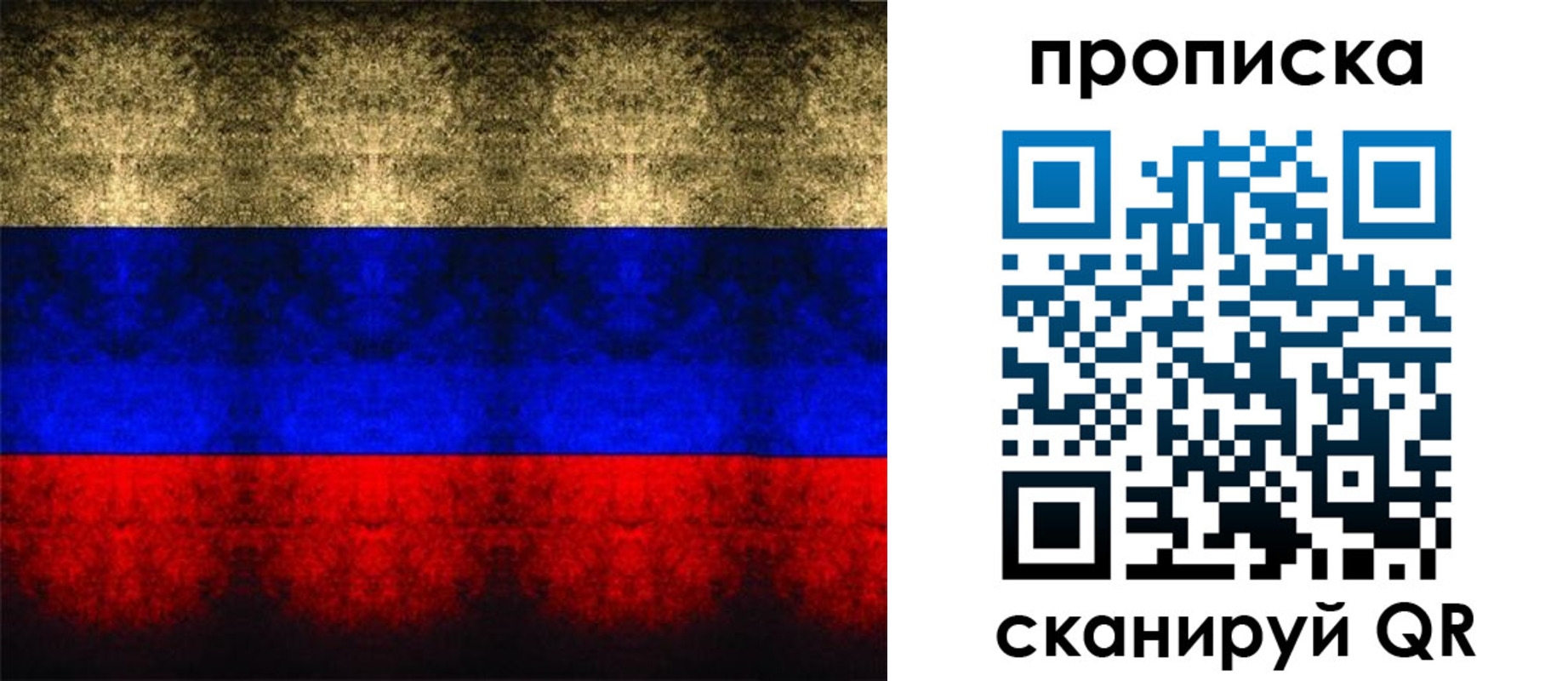 временная прописка в Фрязино